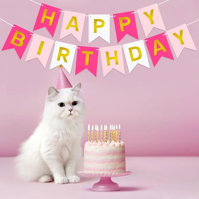 Pre-Strung Pink Happy Birthday Banner Sign - Image 8