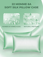 Mulberry Silk Pillowcase for Hair and Skin, SGMSILK 22 Momme Natural Silk Pillow Cases with Zipper, 6A Soft and Smooth Single Sided Pure Silk Pillow Cover (Light Green, Queen 20"x30")