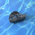 Oyster Claw Clip,Acetate Hair Clips,Small Oyster Hair Clips for Women