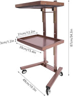 2 Tier Foldable Tray Trolley, Stainless Steel Salon Storage Metal Rolling Cart Mobile Hairdressing Tool Organizer with Wheels for Hair Salon, Studios, Spa Salons (Rose Gold)
