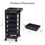 Paddie Black Salon Trolley Cart with Wheels/5 Drawers/Dryer Holder/Tint Bowl Slot for Hair Stylist, Beauty Equipment