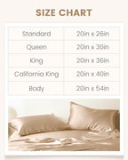THXSILK Set of 2 100% Mulberry Silk Pillowcases for Hair and Skin, Grade 6A+ Mulberry Silk Pillow Cases 19 Momme, Hypoallergenic Pillow Case Cover with Zipper (Queen 20"x30", Beige)