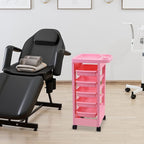 Paddie Pink Salon Trolley Cart with Wheels/5 Drawers/Dryer Holder/Tint Bowl Slot for Hair Stylist, Beauty Equipment