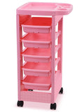 Paddie Pink Salon Trolley Cart with Wheels/5 Drawers/Dryer Holder/Tint Bowl Slot for Hair Stylist, Beauty Equipment