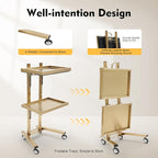 2 Tier Foldable Tray Trolley, Stainless Steel Salon Storage Metal Rolling Cart Mobile Hairdressing Tool Organizer with Wheels for Hair Salon, Studios, Spa Salons (Gold)