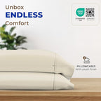 THREAD SPREAD 100% Egyptian Cotton Pillow Cases - 1000 Thread Count Pillow Cases Queen/Standard Size Set of 2, Soft & Breathable Extra Long Staple Sateen Weave Cotton Pillow Covers for Bed - Ivory