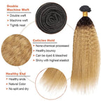 Ombre Blonde Bundles Human Hair 1B27 Kinky Straight Bundle Niegmeag Virgin Remy Hair 3 Bundles 24 26 28 Inch 2 Tone Black and Honey Blonde Yaki Bundle 150g