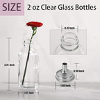 DIDITIME 12 Pack 2 oz Small Clear Glass Bottles with Lids & 2 Funnels - 60ml Boston Round Sample Bottles for Potion, Juice, Ginger Shots, Oils, Whiskey, Wellness Shots, Mini Travel Bottles