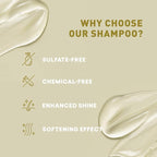 Just Nutritive Shampoo For Blonde Natural & Color-Treated Hair, Neutralize Brassy Tones, No Purple or Blue Shampoo, Paraben Free, Phthalate Free, Silicone Free, 8 oz. Bottle