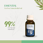 Roots & Above 60ml Pure Tea Tree Essential Oil – 99% Aroma Natural Cold-Pressed Oil for Skin, Face, Hair, Massage, Diffusers, Soap & Candle Making
