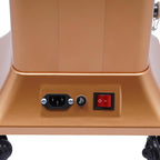 Nano Hair Steamer, Professional Micro Mist Hair Color Processor with 2 Vaporizing Caps, 650W Vertical Hair Care Machine with Rolling Wheels, Salon Spa Equipment for Deep Hair Care Repair, Hair Styling