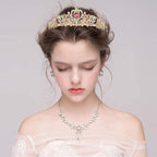 Didder Gold Multicolor Rhinestone Tiaras and Crowns for Women and Girls - Elegant Princess Crowns for Bridal, Wedding, Prom and Birthday Parties
