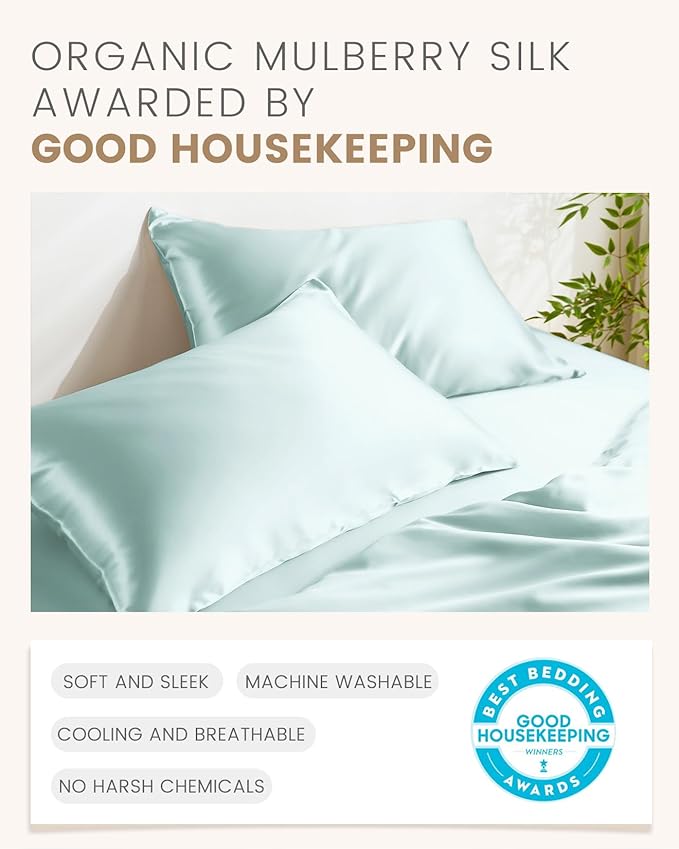 THXSILK 100% Mulberry Silk Pillowcase for Hair and Skin, Grade 6A+ Mulberry Silk Pillow Case Soft and Breathable, Hypoallergenic Pillow Case Cover with Zipper, 1pc (Queen 20"x30", Light Blue)