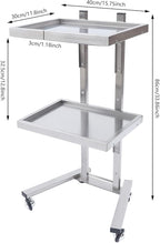 2 Tier Foldable Tray Trolley, Stainless Steel Salon Storage Metal Rolling Cart Mobile Hairdressing Tool Organizer with Wheels for Hair Salon, Studios, Spa Salons (Silver)