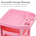 Paddie Pink Salon Trolley Cart with Wheels/5 Drawers/Dryer Holder/Tint Bowl Slot for Hair Stylist, Beauty Equipment