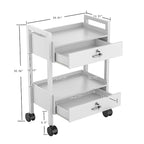 Salon Beauty Cabinet Cart Trolley 2-Layer Rolling Storage Drawer Organizer Wheels Lockable Tool Salon Station Barber Stylist Equipment Makeup Spa Cart (White-2 Layer)