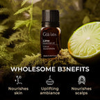 Gya Labs Lime Essential Oil - 0.34 Fl Oz - for Hair, Skin, Diffuser, Aromatherapy & DIY Candle Making Scent