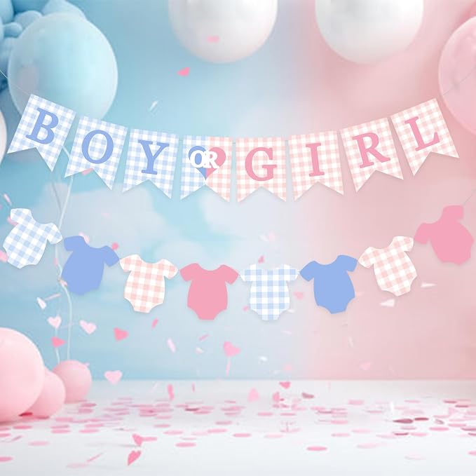 Gingham Boy Or Girl Baby Banner Plaid Welcome Baby Shower Sign Decoration - Image 2
