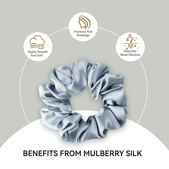 22 Momme 100% Mulberry Silk Scrunchies (2 Pack, Silver, Light Pink), Well-Hold Elastic for No-Damage, Soft Hair Ties, 6A Grade, OEKO-TEX Certified, Reduces Frizz & Breakage