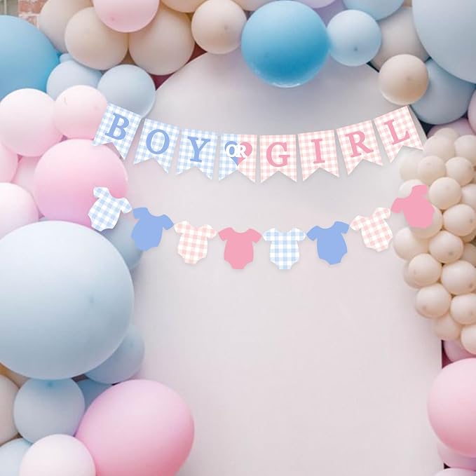 Gingham Boy Or Girl Baby Banner Plaid Welcome Baby Shower Sign Decoration - Image 3