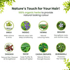 100% Organic Henna Hair Color – Natural, Chemical-Free Hair Dye for Rich, Vibrant Color & Gloss – Grey Coverage, Safe for All Hair Types, Vegan Non-Toxic, Herbal Hair Treatment (DARK BROWN)