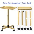 Salon Tray Cart, Salon Rolling Tray Adjustable Height, Tattoo Tray, SPA Rolling Trolley Tray for Beauty Hairstylist Dental Clinic,Champagne Gold