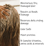 Shampoo and Conditioner Set - Seaweed Hydrating Shampoo and Sea Kelp Daily Conditioner to nourish dry damaged hair, repair and bond damange and reduce frizz