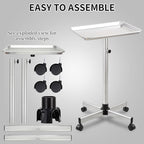 Salon Tray Cart,Instrument Tattoo Trolley Tray with Wheels Adjustable Height,Height Adjustble Hair Color Storage Tray Cart