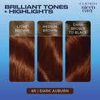 Clairol Nice'n Easy Permanent Hair Dye, 4R Dark Auburn Hair Color, Pack of 2