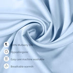 100% Mulberry Silk Pillowcases Set of 2 for Hair and Skin and Super Soft and Breathable Queen Size Nature Silk Pillowcases (Queen, Blue)