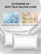 Mulberry Silk Pillowcase for Hair and Skin, SGMSILK 22 Momme Natural Silk Pillow Cases with Zipper, 6A Soft and Smooth Single Sided Pure Silk Pillow Cover (Light Gray, Queen 20"x30")