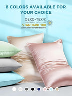 Mulberry Silk Pillowcase for Hair and Skin, SGMSILK 22 Momme Natural Silk Pillow Cases with Zipper, 6A Soft and Smooth Single Sided Pure Silk Pillow Cover (Haze Blue, King 20"x36")
