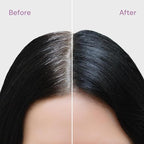 Style Edit Root Touch Up Powder | Mineral Infused Dark Brown Hair Color Concealer for Grays and Roots Coverage | 0.13 oz. Tub