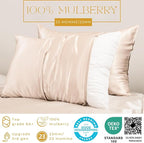 PROMEED 23 Momme Silk Pillowcase 2 Pack with Zipper, 3rd Gen Grade 6A+ 100% Mulberry Silk Pillow Case Set of 2, Cooling Pillow Cases for Hot Sleepers (Queen 20"x30", Champagne)