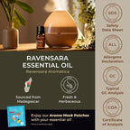 Gya Labs Ravensara Essential Oil - 0.34 Fl Oz - for Hair, Skin, Diffuser, Aromatherapy & DIY Candle Making Scent