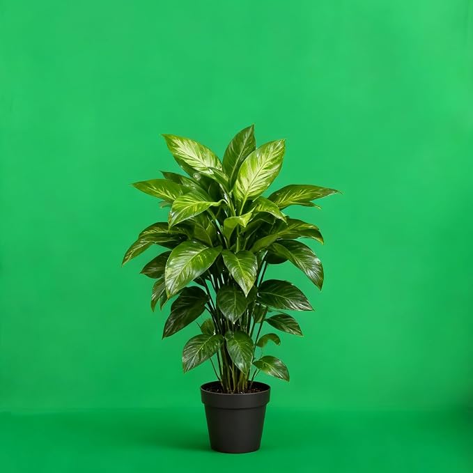 Green Screen Backdrop 10x20ft Photo Backdrop Chromakey Muslin Portrait Green - Image 3