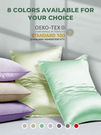 Mulberry Silk Pillowcase for Hair and Skin, SGMSILK 22 Momme Natural Silk Pillow Cases with Zipper, 6A Soft and Smooth Single Sided Pure Silk Pillow Cover (Light Green, Standard 20"x26")