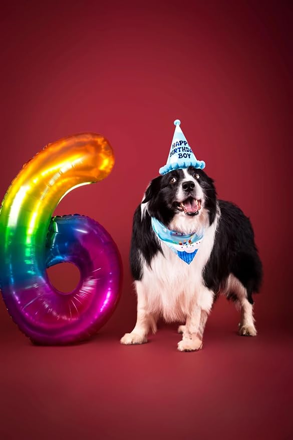 Rainbow Number 6 Balloon 40 Inch Rainbow 6 Balloon Giant Helium Foil Number 0 - Image 4