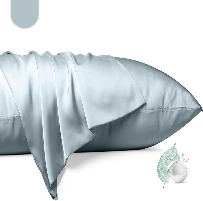 100% Mulberry Silk Pillowcase 2 Pack,King Size Silk Pillow Cases for Hair and Skin,Silky Smooth Bed Pillow Cover with Hidden Zipper,Natural Silk Pillow Case Set of 2 (Ash Blue, King 20X36)