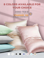 Mulberry Silk Pillowcase for Hair and Skin, SGMSILK 22 Momme Natural Silk Pillow Cases with Zipper, 6A Soft and Smooth Single Sided Pure Silk Pillow Cover (Soft Pink, Queen 20"x30")