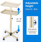 Salon Tray on Wheels, Champagne Gold Salon Service Tray Cart with Adjustable Height,Ideal Use As Salon Tattoo Tray&Medical Tray,No-Rusting
