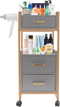 Beauty Salon Tool Organizer, Salon Trolley with Lockable Wheels Barber Cart, Make-Up Organizer Beauty Equipment Storage Trolley with Hair Dryer Rack for Spa, Barber Store, Beauty Salon (Gold, Grey)