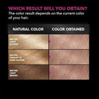 Garnier Hair Color Olia Ammonia-Free Brilliant Color Oil-Rich Permanent Hair Dye, 8.22 Medium Rose Gold, 2 Count (Packaging May Vary) (Pack of 2)