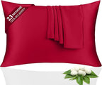 100% Silk Pillowcase 2 Pack for Hair and Skin, Both Sides 23 Momme Grade 6A+ Mulberry Silk Pillowcases with Hidden Zipper, Soft&Smooth Cooling Pillow Cases (Red, Queen 20×30)