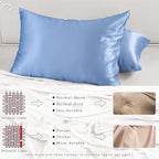 PROMEED Real 23 Momme 100% Silk Pillowcase for Hair and Skin, Both Sides Cooling Premium Grade 6A+ Mulberry Silk Pillow Case with Zipper, 1pc (Queen 20"x30", Light Blue)