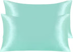 NTBAY 2 Pack Satin King Pillowcases for Hair and Skin, Luxurious and Silky Pillow Cases with Envelope Closure, 20x40 Inches, Light Blue