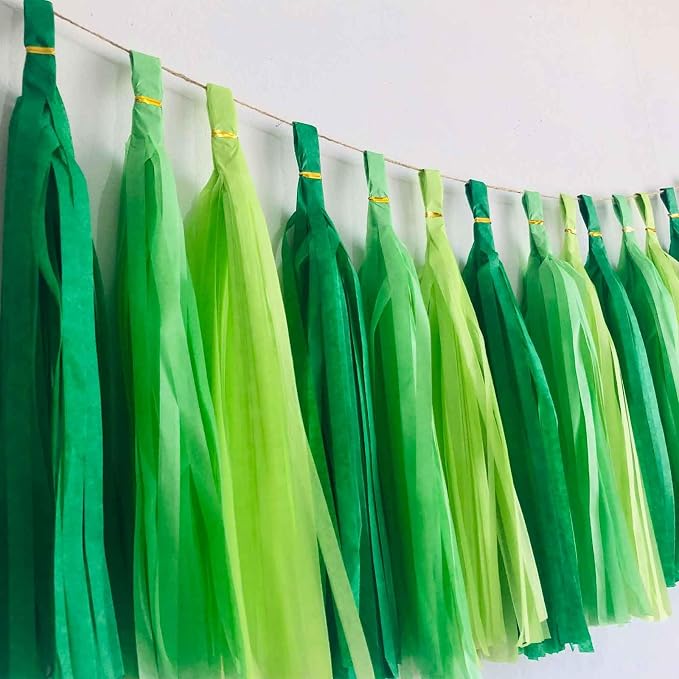 We Moment Green Light Tissue Paper Tassels Party Tassel Garland Banner - Image 3