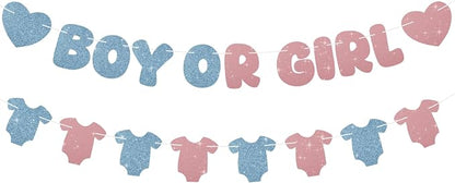 Glitter Pink and Blue Gender Reveal Decorations, Pre-Strung Boy or Girl Banner by SerpizePaty