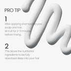 Scalp Strengthening Shampoo for Hair Growth & Anti-Loss | Vegan Ceramide Haircare Routine with Rosemary Oil, Biotin and Caffeine, Paraben Free, Korean, 13.5 Fl. oz.