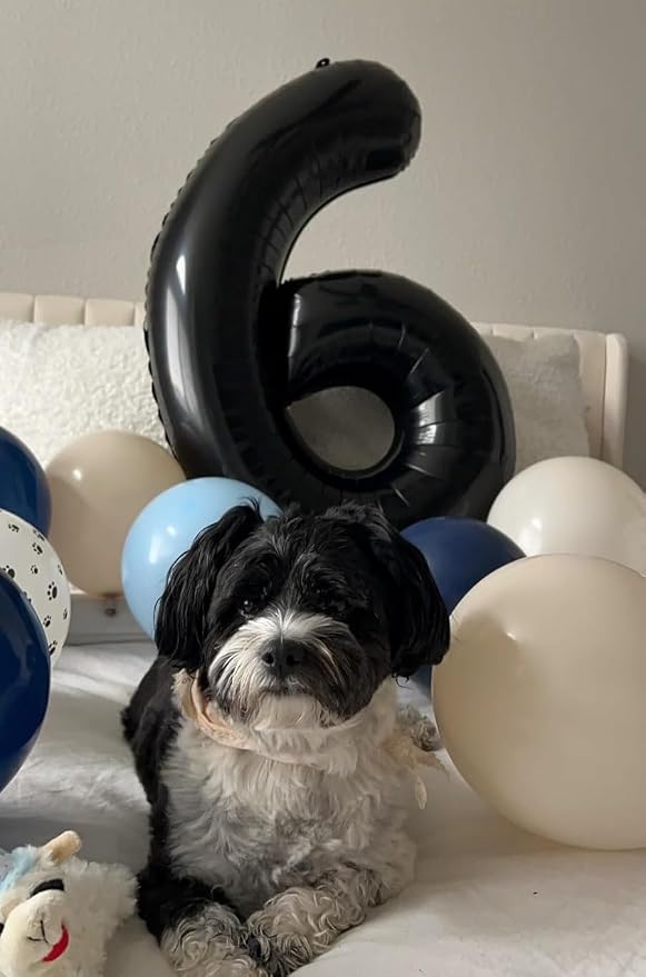 Numbers 25 Balloon 40Inch Black Balloons - Image 3